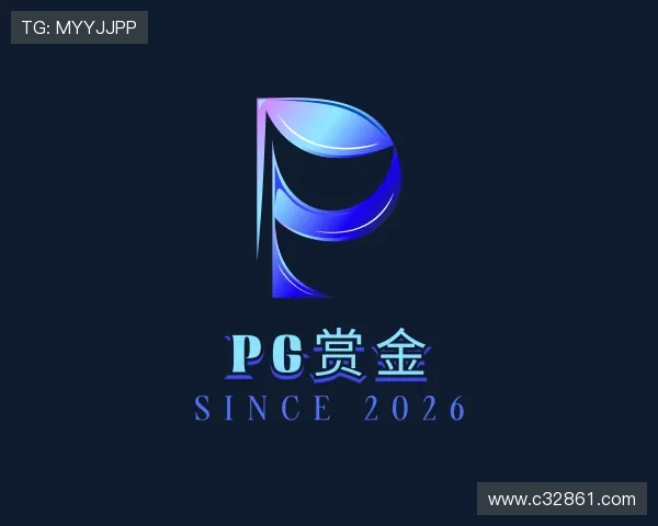 介绍PG赏金